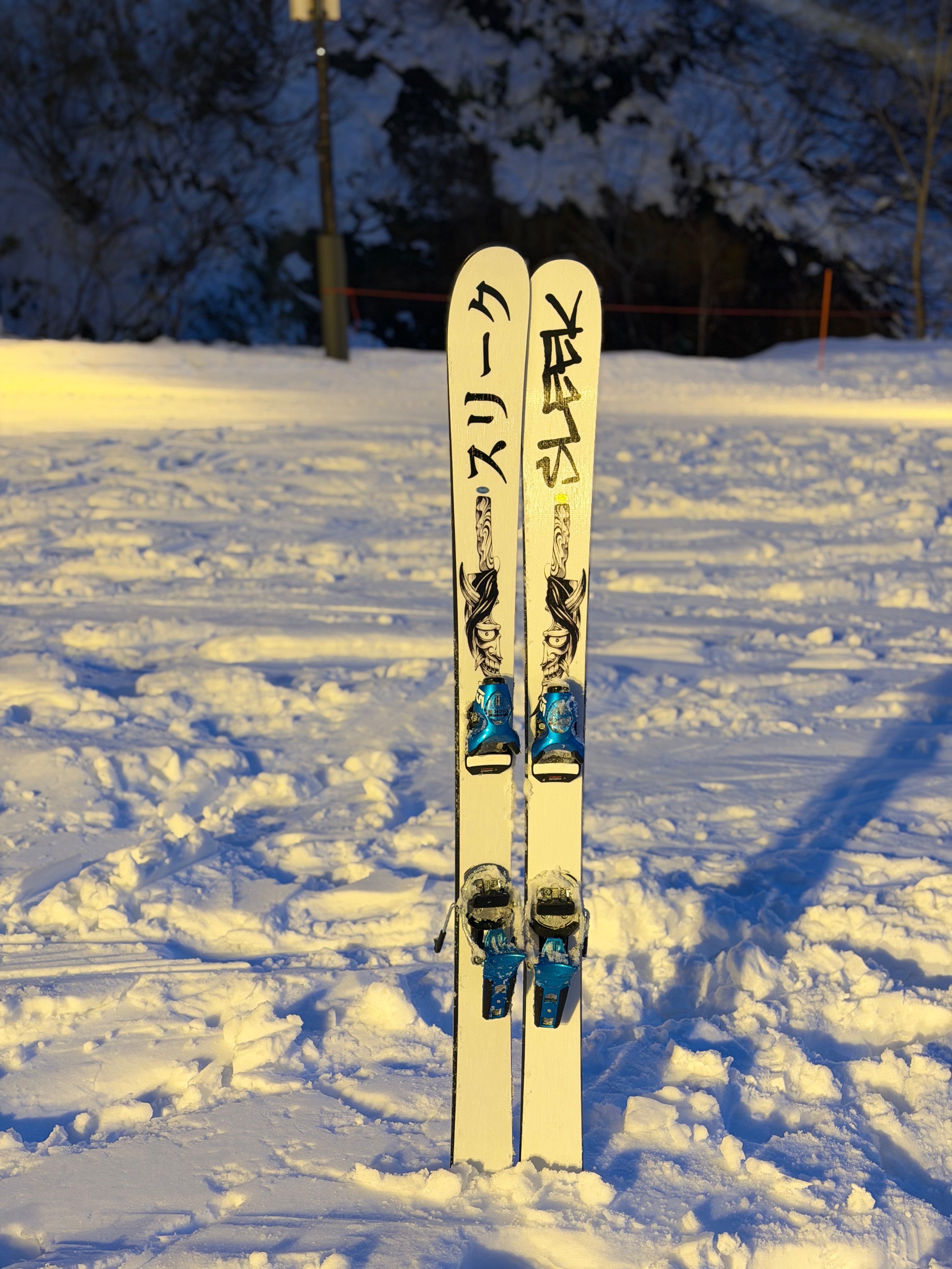 sleek skis